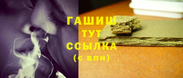 индика Новодвинск