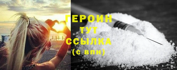 индика Новодвинск