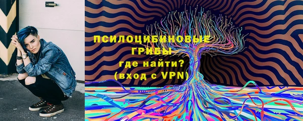 mdma Новозыбков