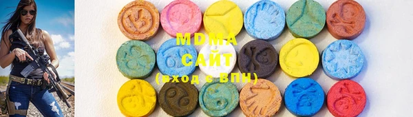 индика Новодвинск