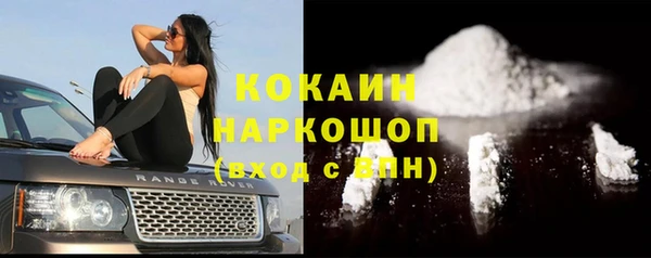 индика Новодвинск
