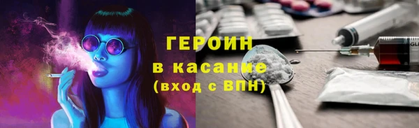 индика Новодвинск