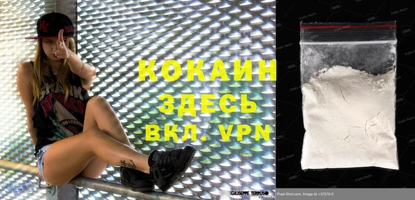 индика Новодвинск