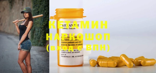 индика Новодвинск