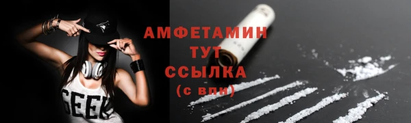 индика Новодвинск