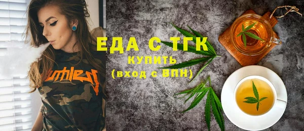 индика Новодвинск