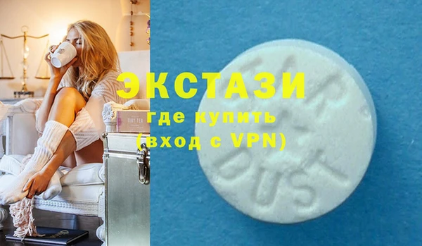индика Новодвинск