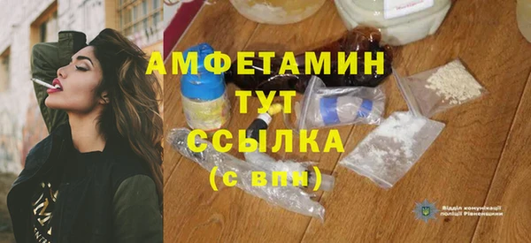 индика Новодвинск