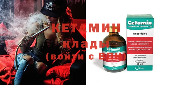 индика Новодвинск