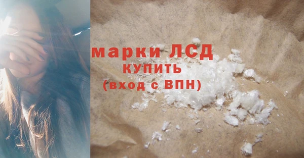 индика Новодвинск