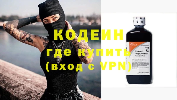 индика Новодвинск
