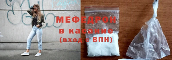 индика Новодвинск