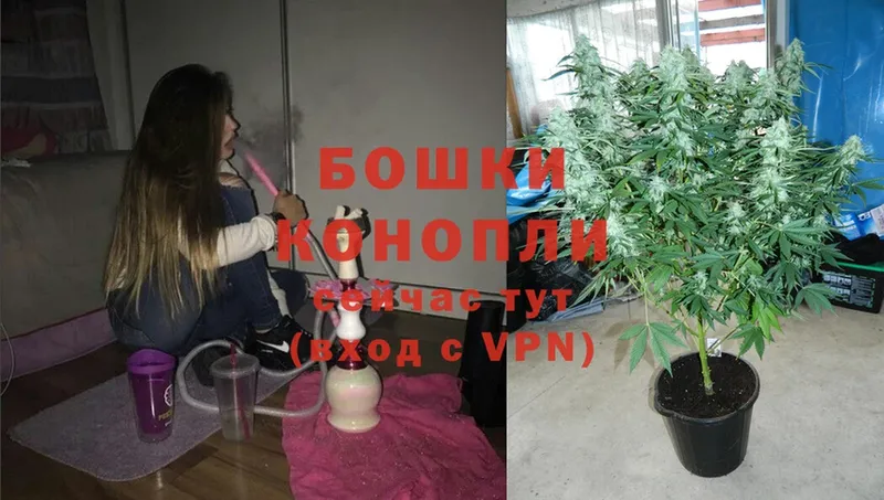 Конопля OG Kush  где продают   Петушки 